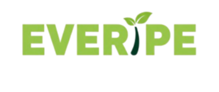Everype Logo